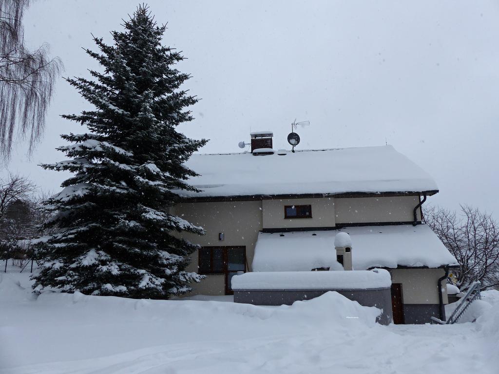 Haus Tolstejn Appartement Jiřetín pod Jedlovou Buitenkant foto