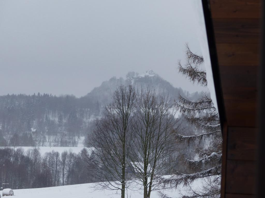 Haus Tolstejn Appartement Jiřetín pod Jedlovou Buitenkant foto