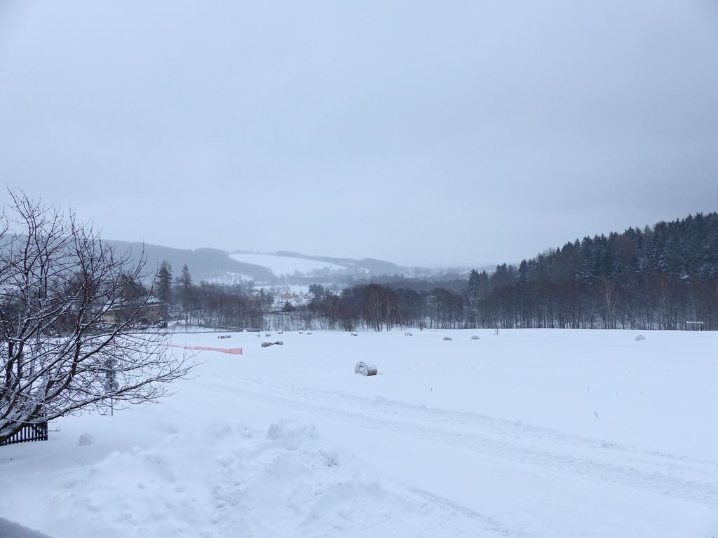 Haus Tolstejn Appartement Jiřetín pod Jedlovou Buitenkant foto