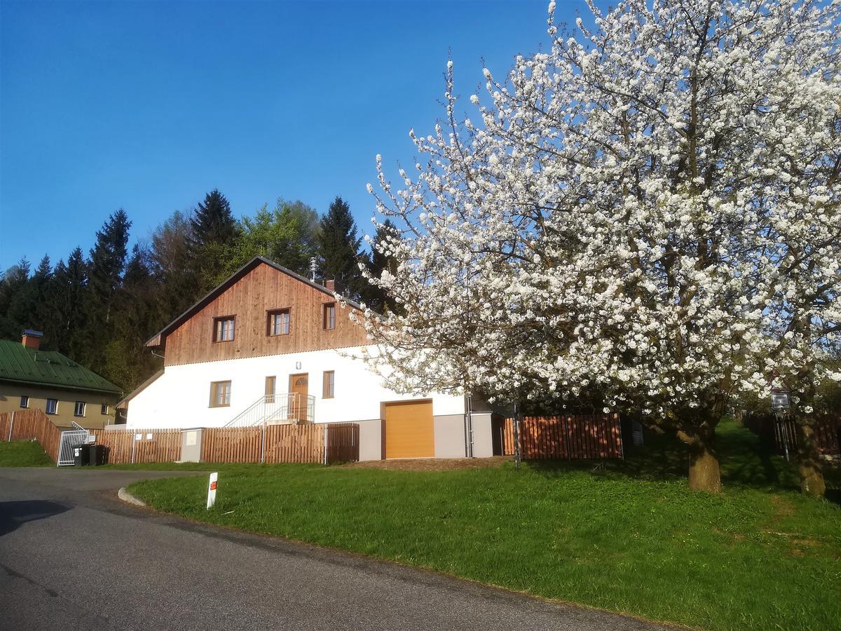 Haus Tolstejn Appartement Jiřetín pod Jedlovou Buitenkant foto